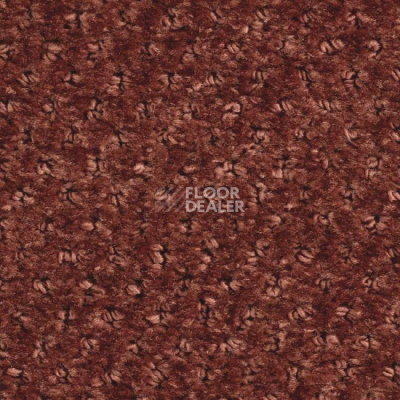 Ковролин Balsan Aquarelle Touch 480 фото 1 | FLOORDEALER
