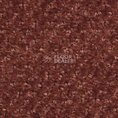 Ковролин Balsan Aquarelle Touch 480 фото 1 | FLOORDEALER