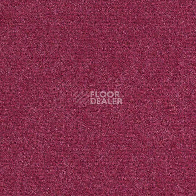 Ковролин Balsan Sydney DD 560 фото 1 | FLOORDEALER