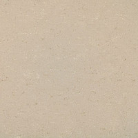 Линолеум Colorette 0012 Light Beige фото 1 | FLOORDEALER
