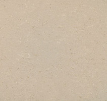 Линолеум Colorette 0012 Light Beige фото 1 | FLOORDEALER