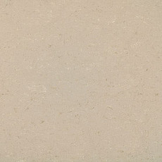 Линолеум Colorette 0012 Light Beige фото 1 | FLOORDEALER