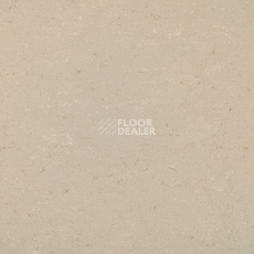 Линолеум Colorette 0012 Light Beige фото 1 | FLOORDEALER