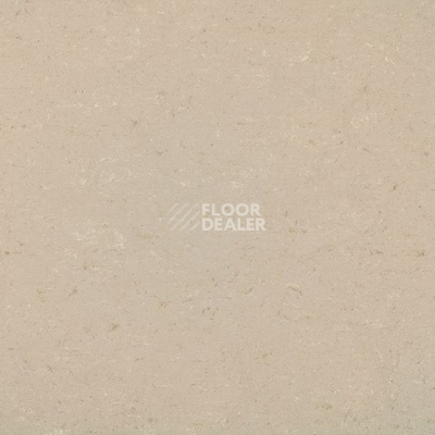Линолеум Colorette 0012 Light Beige фото 1 | FLOORDEALER
