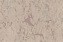 Пробковое покрытие Corkstyle Mountain настенное BARBEAU фото 1 | FLOORDEALER