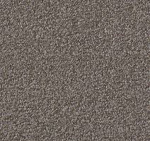 Ковровая плитка AW Maxima 40 фото 1 | FLOORDEALER