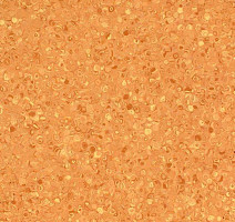 Линолеум Grabo Fortis Orange фото 1 | FLOORDEALER