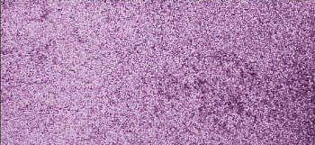 Betap Makao 813 фото 1 | FLOORDEALER