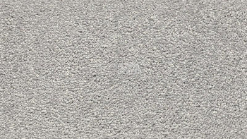 Ковролин Vorwerk Passion 1001 Vorwerk 5u55 фото 1 | FLOORDEALER