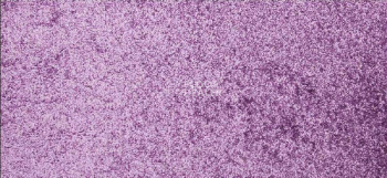 Ковролин Betap Makao 813 фото 1 | FLOORDEALER