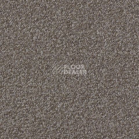 Ковровая плитка AW Maxima 40 фото 1 | FLOORDEALER