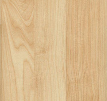 Линолеум GraboSport Elite Wood 60 2000_378_275 фото 1 | FLOORDEALER