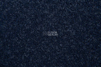 Innova Фризе 7079 фото 3 | FLOORDEALER