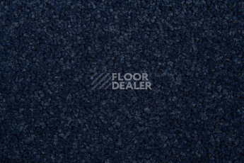 Innova Фризе 7079 фото 3 | FLOORDEALER