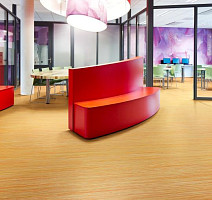 Forbo Marmoleum Linear Striato Colour 5241 sunshine yellow фото 2 | FLOORDEALER