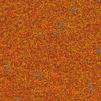 Ковролин Finett Vision Focus 505565 фото 1 | FLOORDEALER