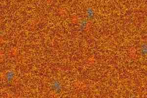 Ковролин Finett Vision Focus 505565 фото  | FLOORDEALER