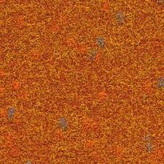 Ковролин Finett Vision Focus 505565 фото 1 | FLOORDEALER