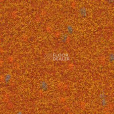 Ковролин Finett Vision Focus 505565 фото 1 | FLOORDEALER