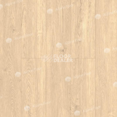 Кварцвиниловые полы Alpine Floor Sequoia (SPC) Секвойя Натуральная ЕСО 6-9 SPC фото 1 | FLOORDEALER