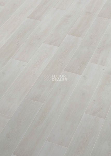 Ламинат Terhurne Classic Line 194мм 1966  Дуб Кристально - Серый  1101021705 фото 1 | FLOORDEALER