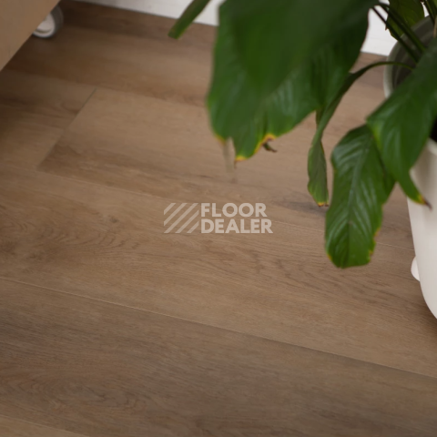 Vinilam Cork 7мм 10130V Дуб Антверпен фото 6 | FLOORDEALER