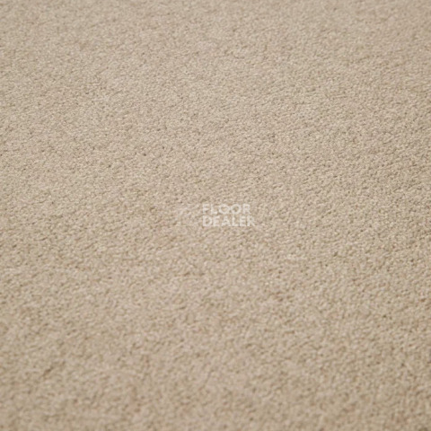 Condor Stockholm 72 фото 14 | FLOORDEALER