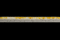 Flotex Colour s 445030 Canyon Sulphur фото 3 | FLOORDEALER