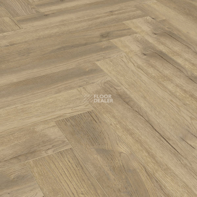 Ламинат Kronotex Herringbone 8мм d4764 Дуб Тревизо фото 6 | FLOORDEALER