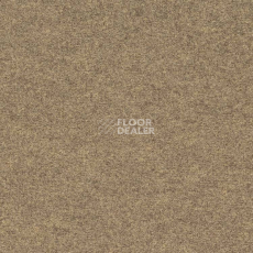 Ковролин Finett Feinwerk 403505 фото 1 | FLOORDEALER