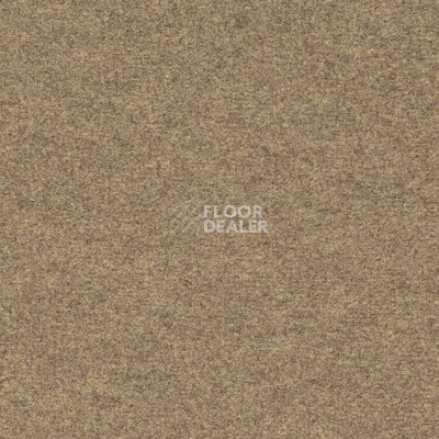 Ковролин Finett Feinwerk 403505 фото 1 | FLOORDEALER