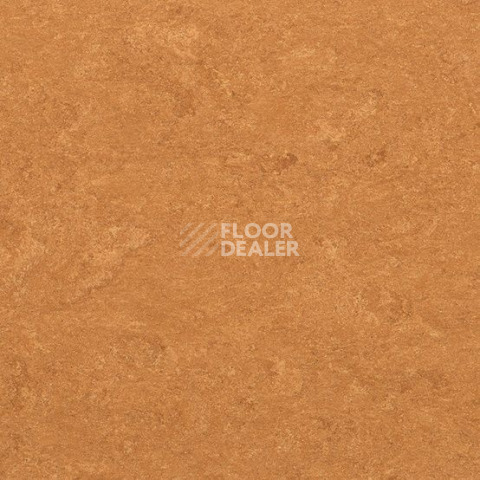 Линолеум Gerflor Marmorette DLW 2.5mm 0073 Spicy Orange фото 1 | FLOORDEALER