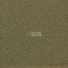 Ковролин Associated Weavers Continental 49 фото 1 | FLOORDEALER