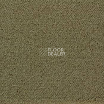 Ковролин Associated Weavers Continental 49 фото 1 | FLOORDEALER