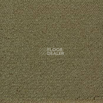 Ковролин Associated Weavers Continental 49 фото 1 | FLOORDEALER