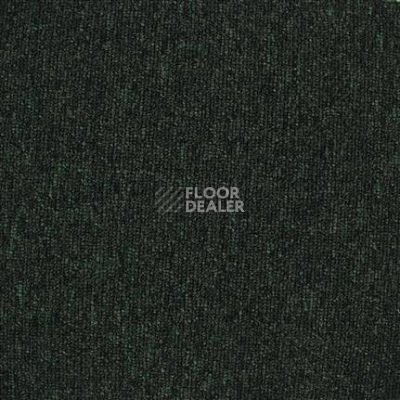 Ковролин Edel Helsinki 164 фото 1 | FLOORDEALER