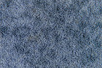 Flotex Colour Calgary 50*50 t 590025 Calgary Riviera фото 2 | FLOORDEALER