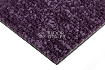 Balsan Season - Summer / Winter 880 фото 4 | FLOORDEALER