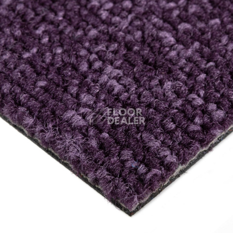 Balsan Season - Summer / Winter 880 фото 4 | FLOORDEALER