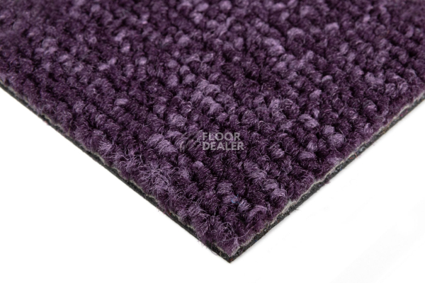 Season - Summer / Winter 880 фото 4 | FLOORDEALER