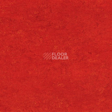 Линолеум Marmorette DLW  2mm 0118 Chili Red фото 1 | FLOORDEALER