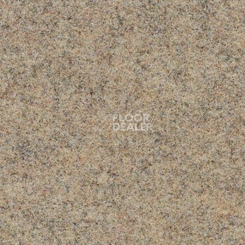 Ковролин Forbo Akzent 10703 Sand фото 1 | FLOORDEALER