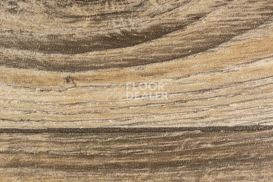 Линолеум FORBO Emerald Wood FR 5903 фото 1 | FLOORDEALER