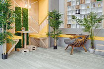 Alpine Floor Grand Sequoia (1524x180) ГРАНД СЕКВОЙЯ САГАНО ECO 11-22 фото 3 | FLOORDEALER