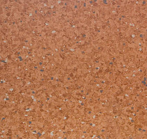 Линолеум Tarkett iQ Aria CARII-662 фото 1 | FLOORDEALER