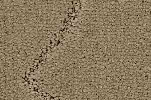 Ковролин Balsan Prestige 630 фото  | FLOORDEALER