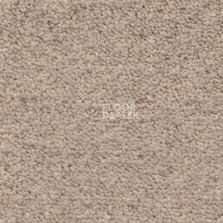 Ковролин AW Souplesse 36 фото 1 | FLOORDEALER