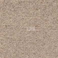 Ковролин AW Souplesse 36 фото 1 | FLOORDEALER