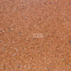 Линолеум Tarkett iQ Aria CARII-662 фото 1 | FLOORDEALER