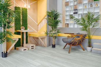 Alpine Floor Grand Sequoia (1524x180) ГРАНД СЕКВОЙЯ САГАНО ECO 11-22 фото 3 | FLOORDEALER